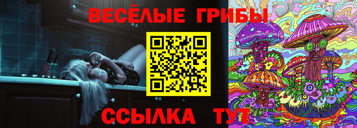Псилоцибиновые грибы Psilocybine cubensis  Вход с VPN  Еманжелинск 